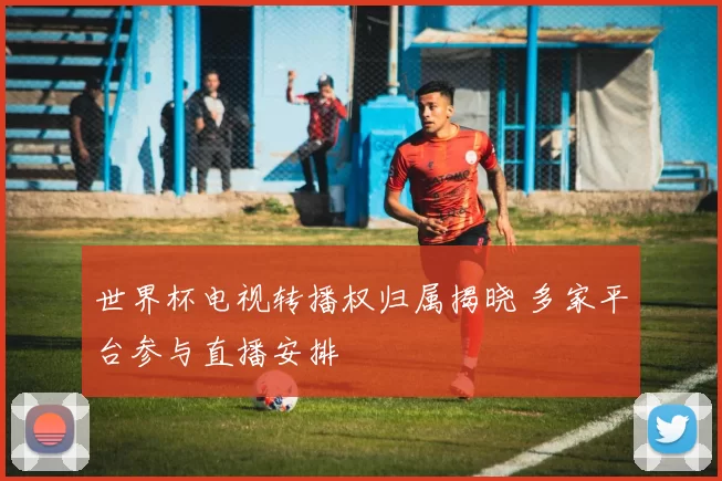 世界杯电视转播权归属揭晓 多家平台参与直播安排