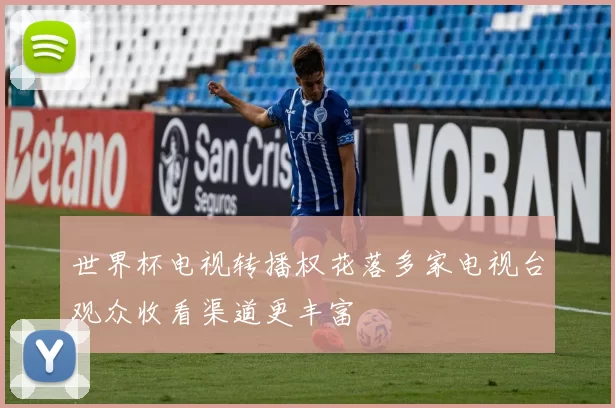 世界杯电视转播权花落多家电视台观众收看渠道更丰富