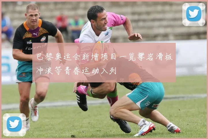 巴黎奥运会新增项目一览攀岩滑板冲浪等青春运动入列