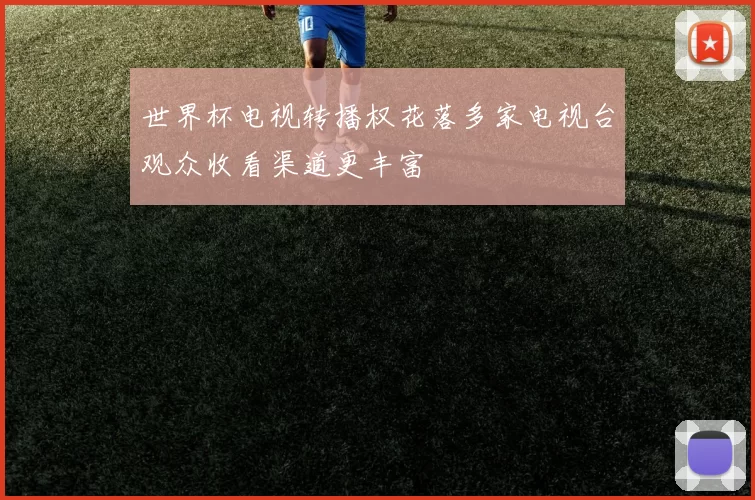 世界杯电视转播权花落多家电视台观众收看渠道更丰富